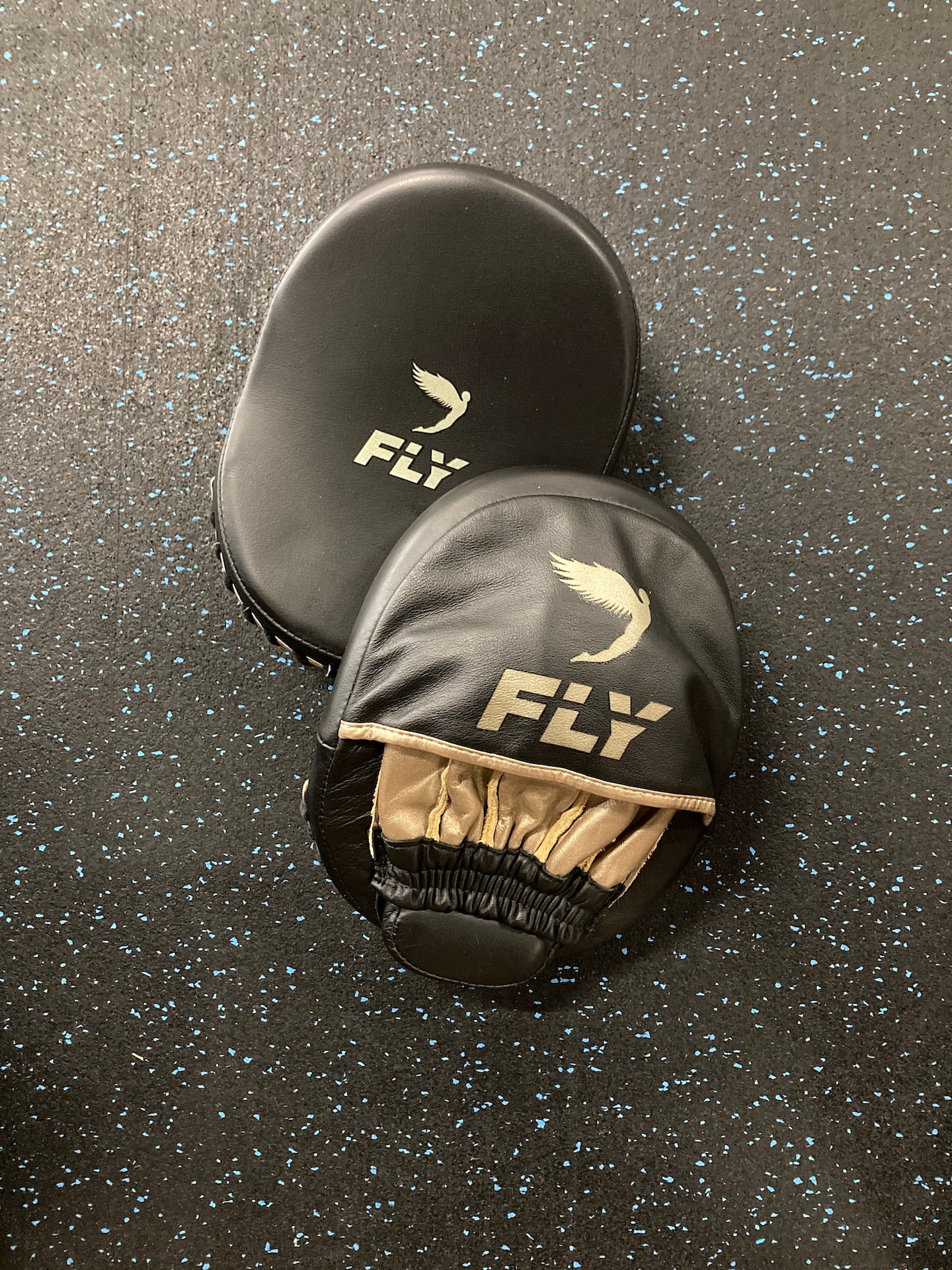 fly boxing gear Fly Premium MItts